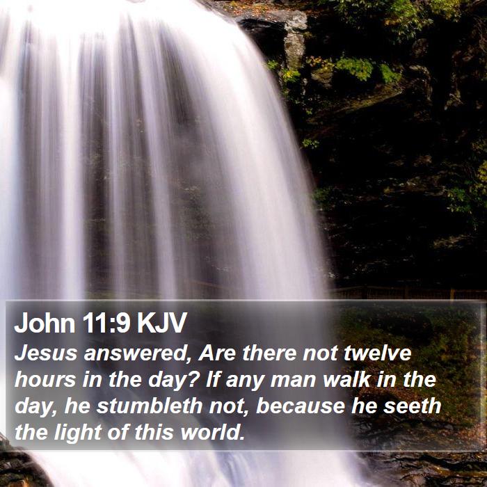 John 11:9 KJV Bible Study