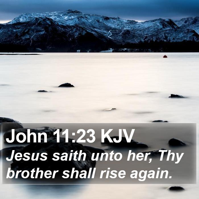 John 11:23 KJV Bible Study