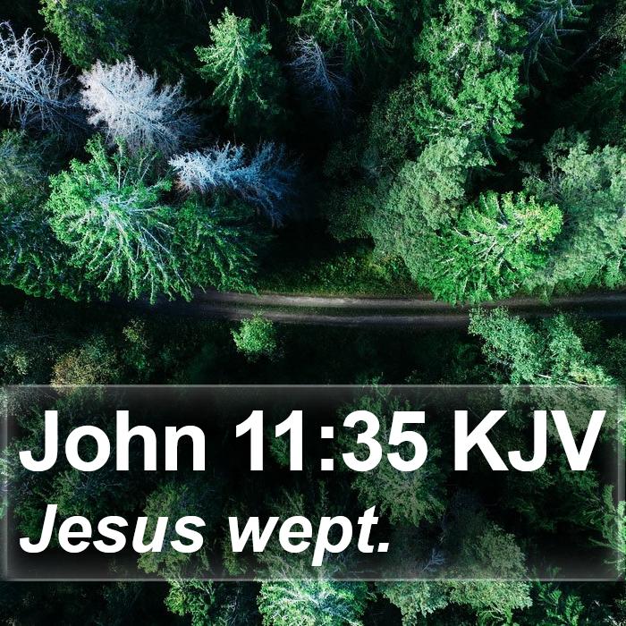 John 11:35 KJV Bible Study