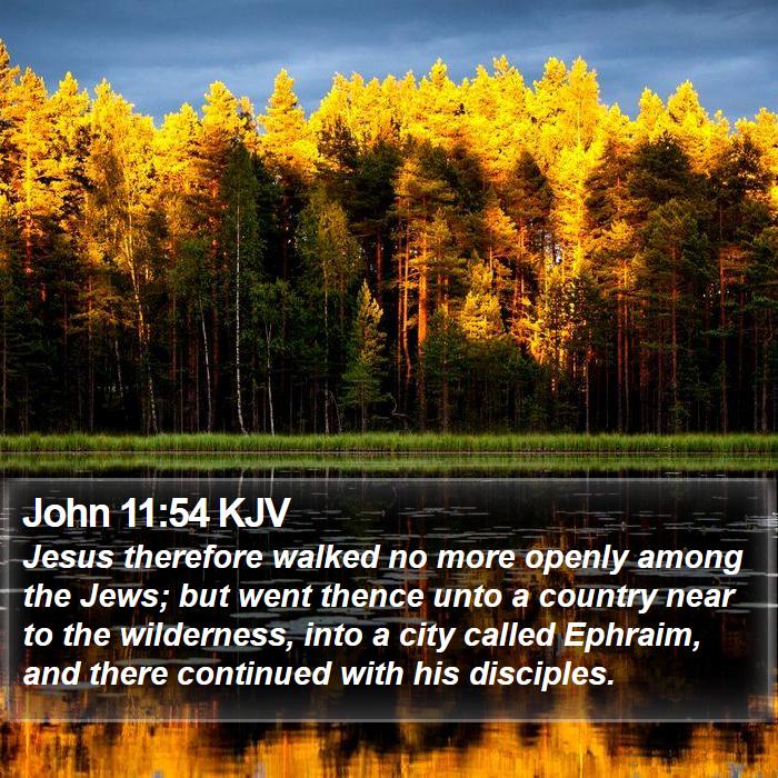 John 11:54 KJV Bible Study