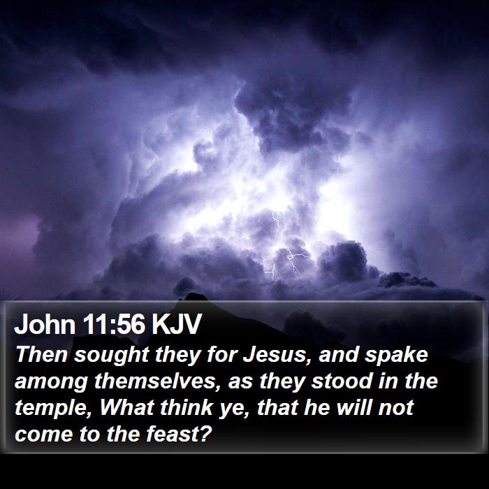 John 11:56 KJV Bible Study