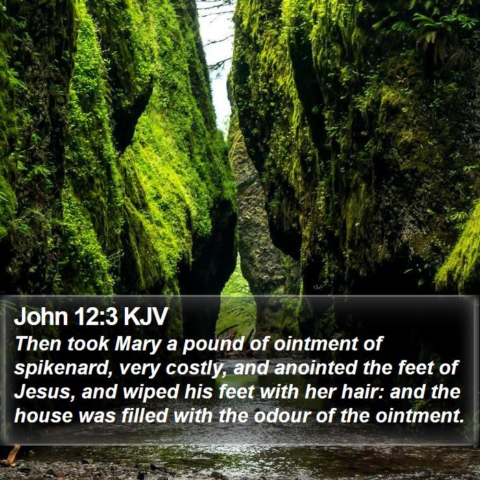 John 12:3 KJV Bible Study