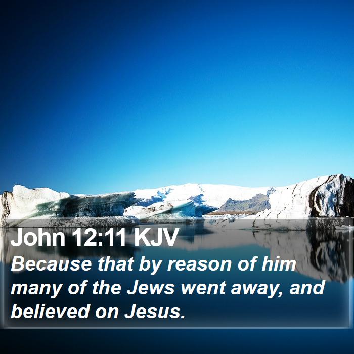 John 12:11 KJV Bible Study