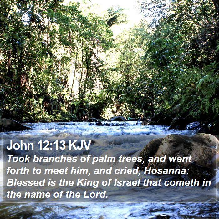 John 12:13 KJV Bible Study