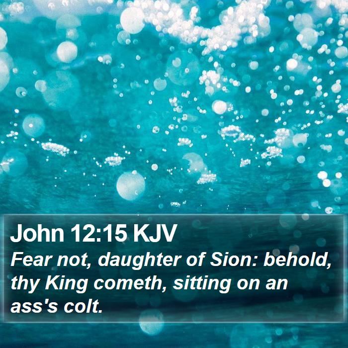 John 12:15 KJV Bible Study