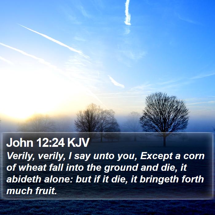 John 12:24 KJV Bible Study