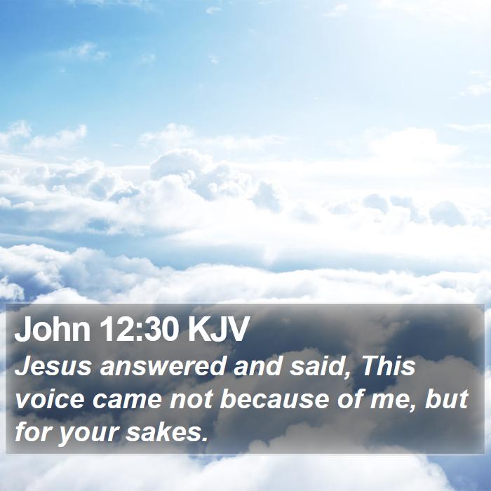 John 12:30 KJV Bible Study