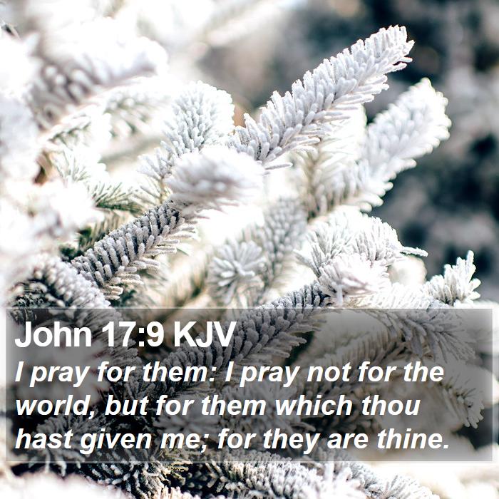 John 17:9 KJV Bible Study