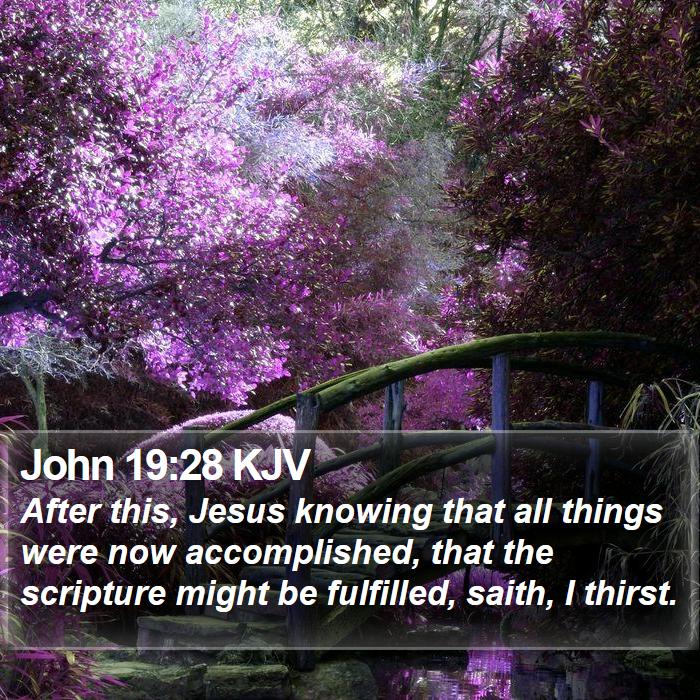 John 19:28 KJV Bible Study