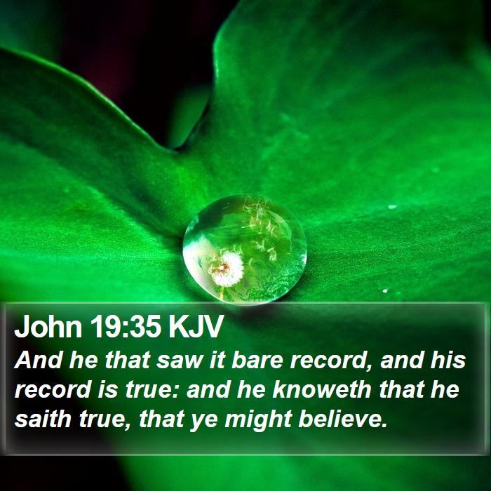 John 19:35 KJV Bible Study