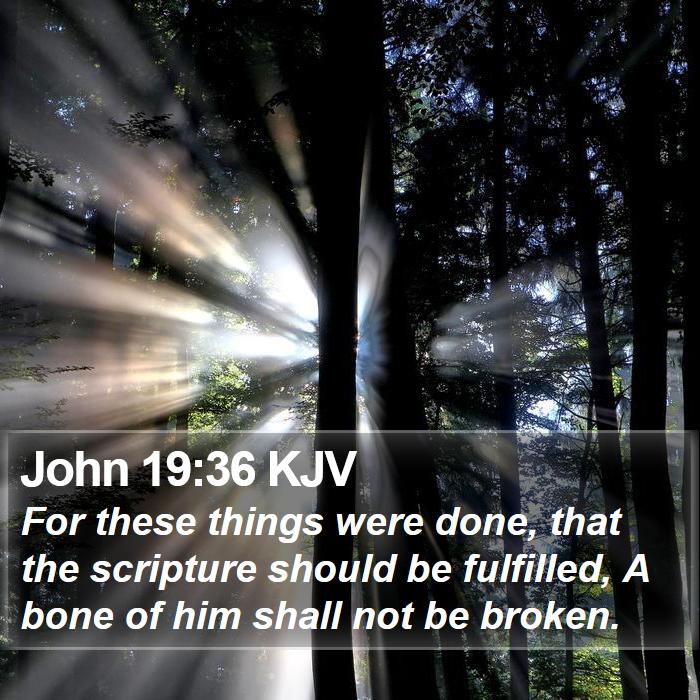 John 19:36 KJV Bible Study