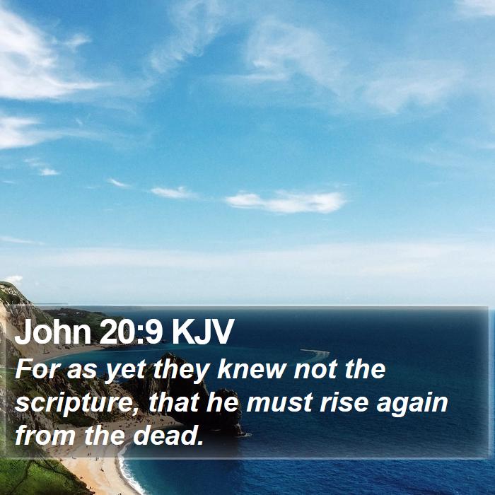 John 20:9 KJV Bible Study