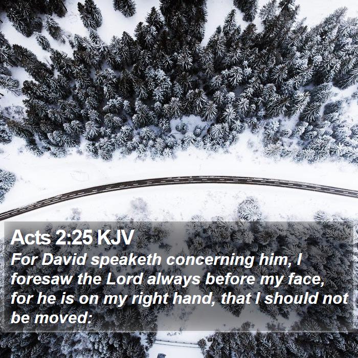 Acts 2:25 KJV Bible Study