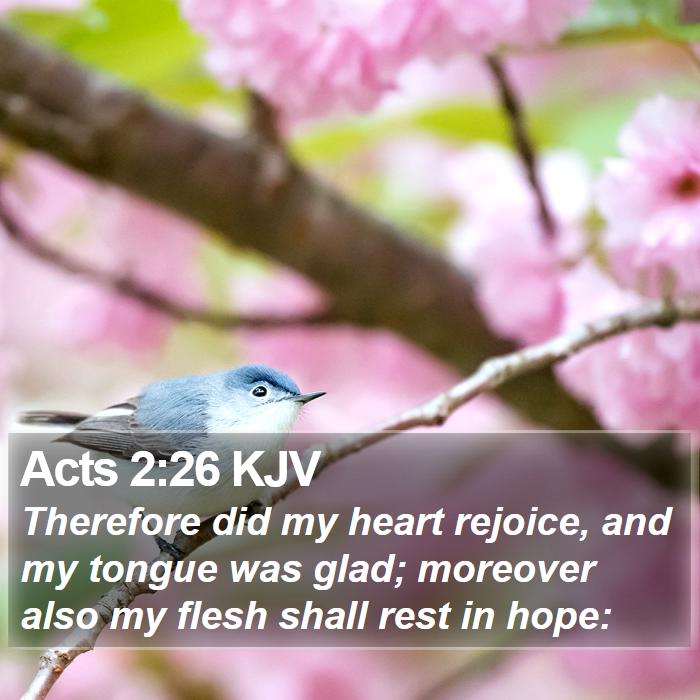 Acts 2:26 KJV Bible Study