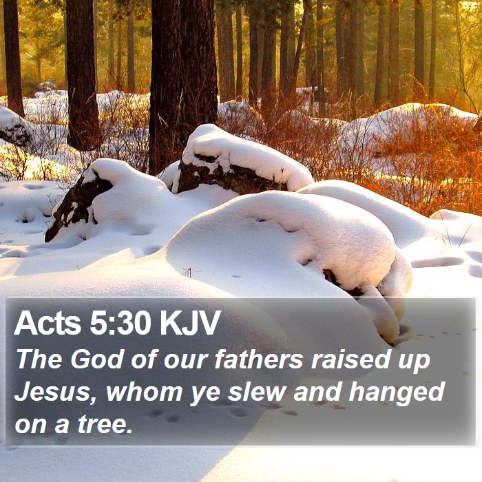 Acts 5:30 KJV Bible Study