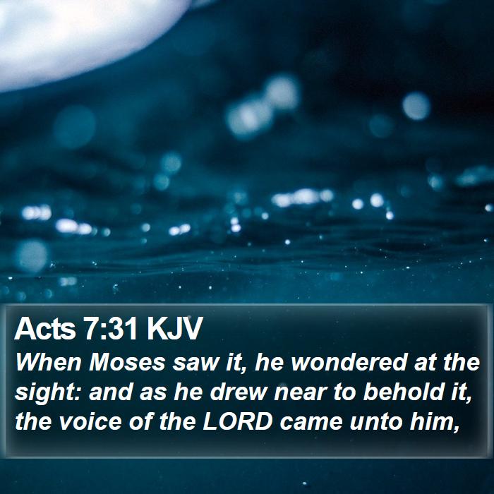 Acts 7:31 KJV Bible Study