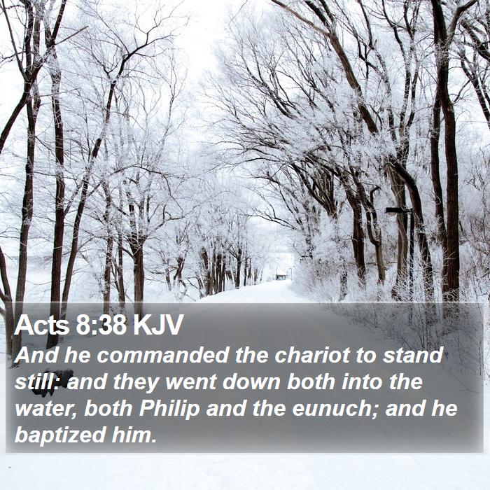 Acts 8:38 KJV Bible Study