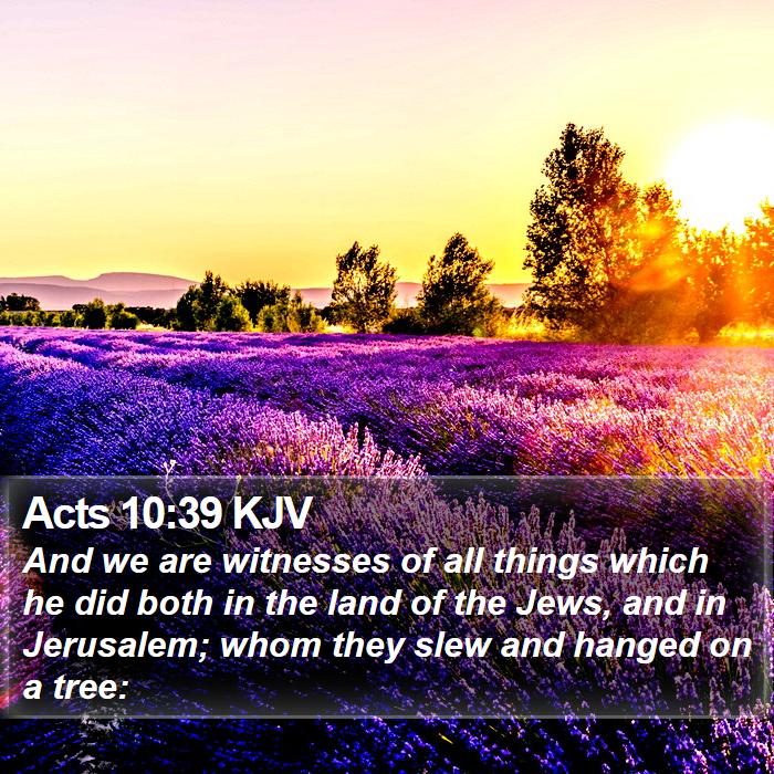 Acts 10:39 KJV Bible Study