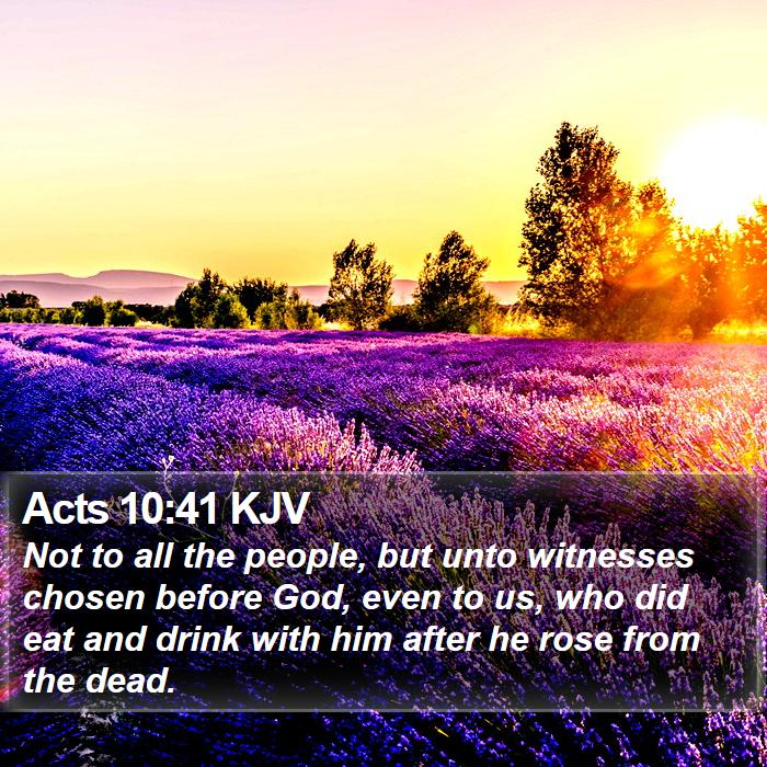 Acts 10:41 KJV Bible Study