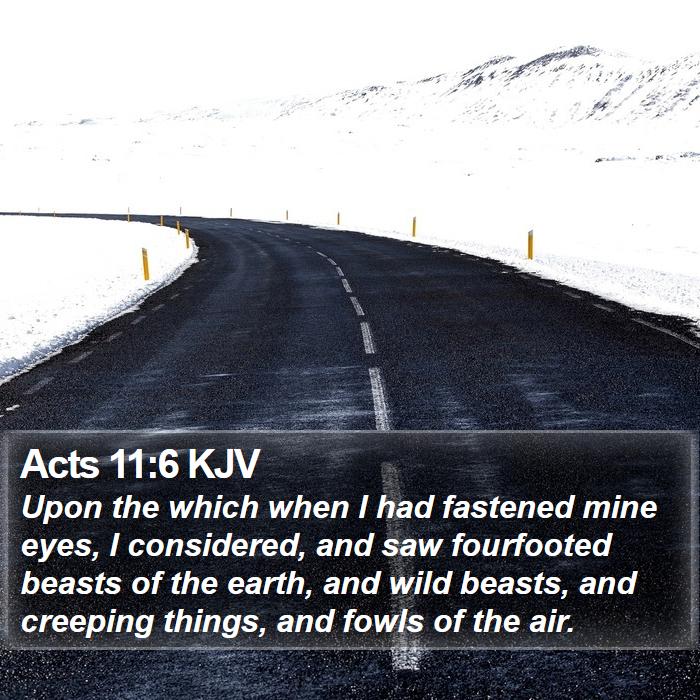 Acts 11:6 KJV Bible Study