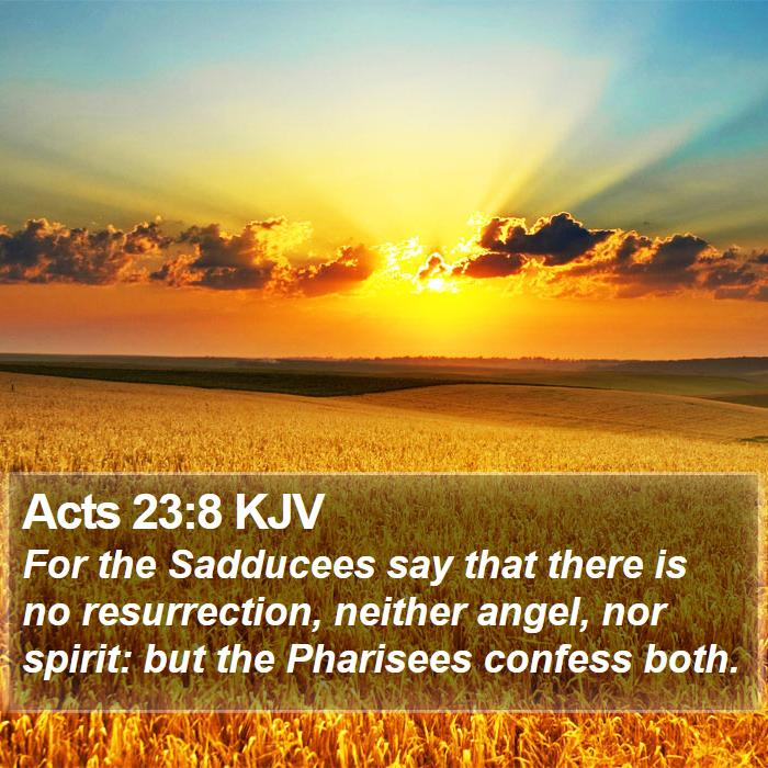 Acts 23:8 KJV Bible Study