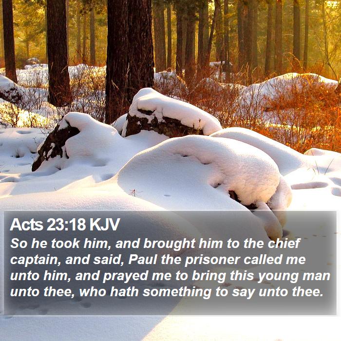 Acts 23:18 KJV Bible Study