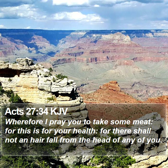 Acts 27:34 KJV Bible Study