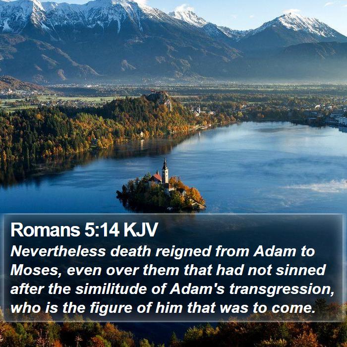 Romans 5:14 KJV Bible Study