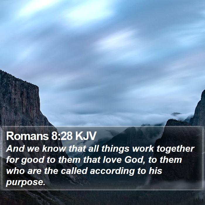 Romans 8:28 KJV Bible Study