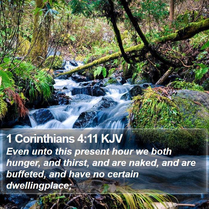 1 Corinthians 4:11 KJV Bible Study