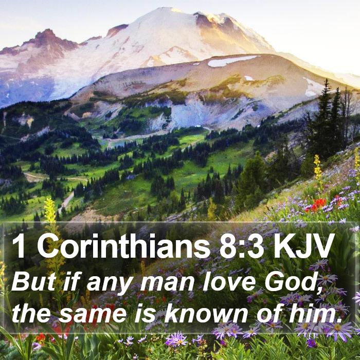 1 Corinthians 8:3 KJV Bible Study