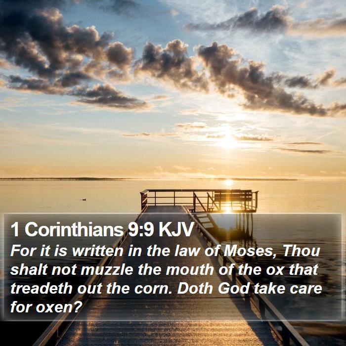 1 Corinthians 9:9 KJV Bible Study