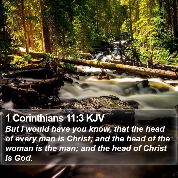 1 Corinthians 11:3 KJV Bible Study