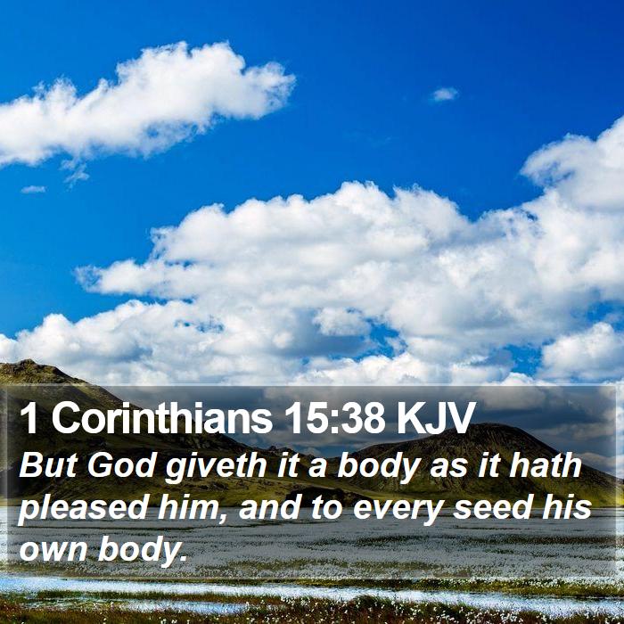 1 Corinthians 15:38 KJV Bible Study