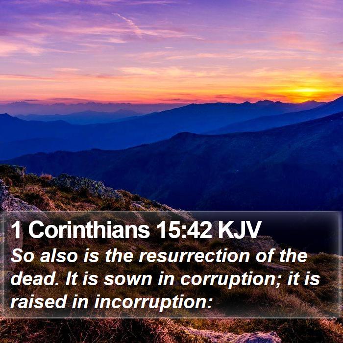 1 Corinthians 15:42 KJV Bible Study