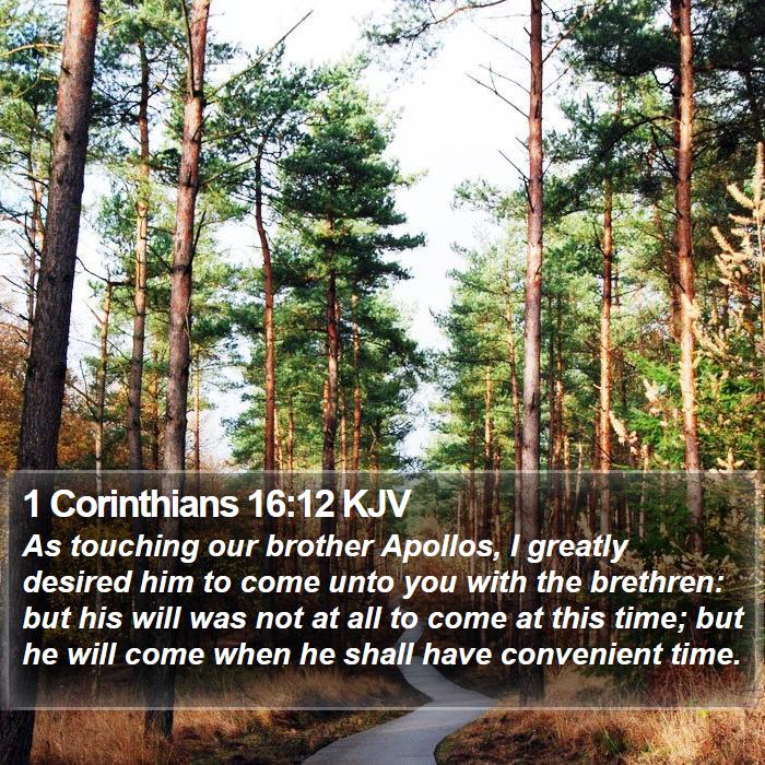 1 Corinthians 16:12 KJV Bible Study