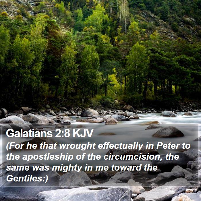 Galatians 2:8 KJV Bible Study