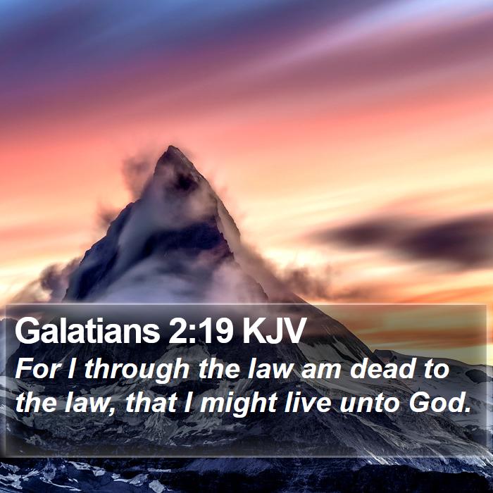 Galatians 2:19 KJV Bible Study