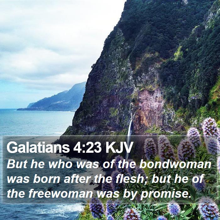 Galatians 4:23 KJV Bible Study