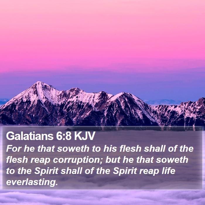 Galatians 6:8 KJV Bible Study