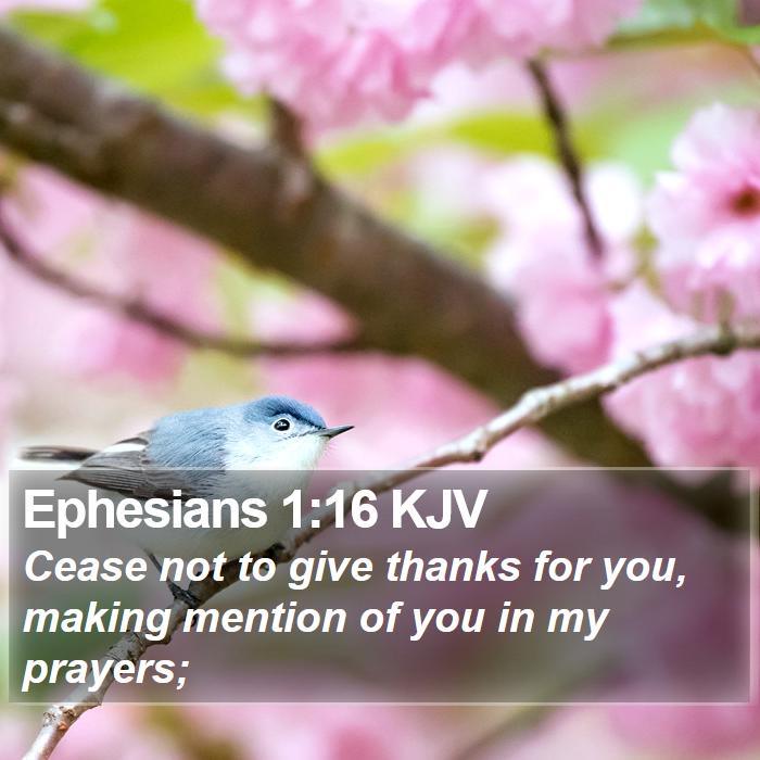 Ephesians 1:16 KJV Bible Study