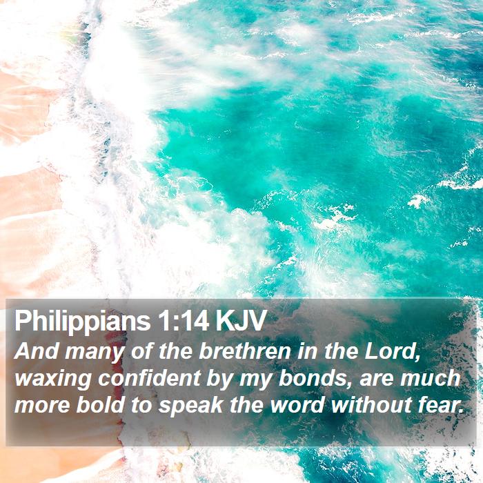 Philippians 1:14 KJV Bible Study