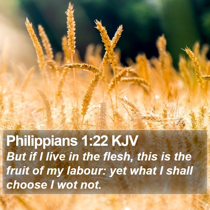 Philippians 1:22 KJV Bible Study