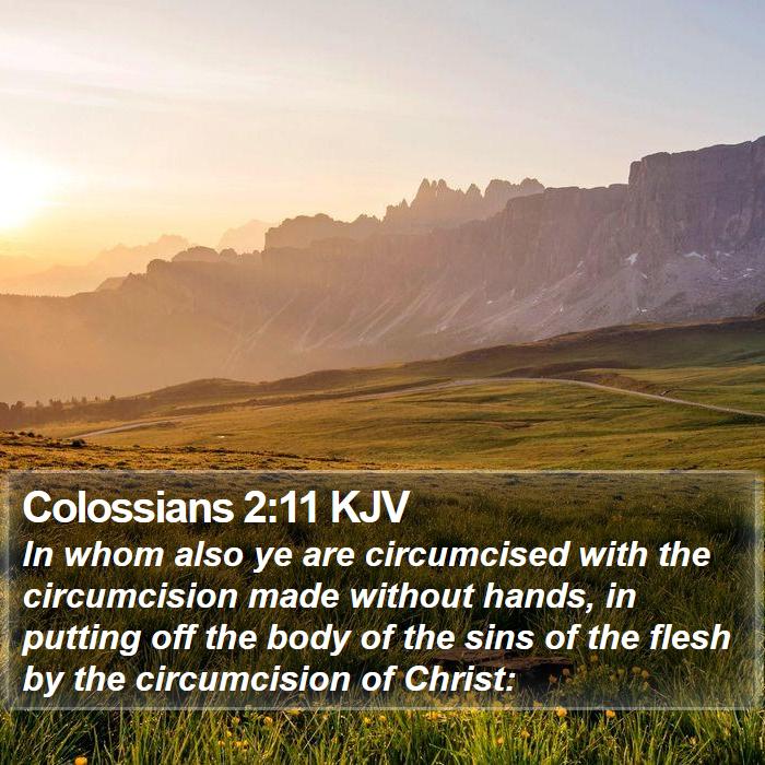 Colossians 2:11 KJV Bible Study