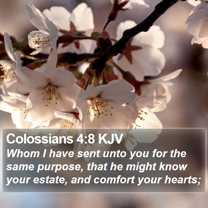 Colossians 4:8 KJV Bible Study