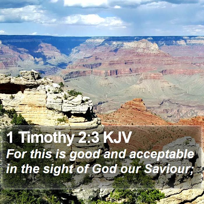 1 Timothy 2:3 KJV Bible Study