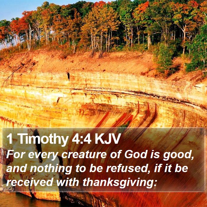 1 Timothy 4:4 KJV Bible Study