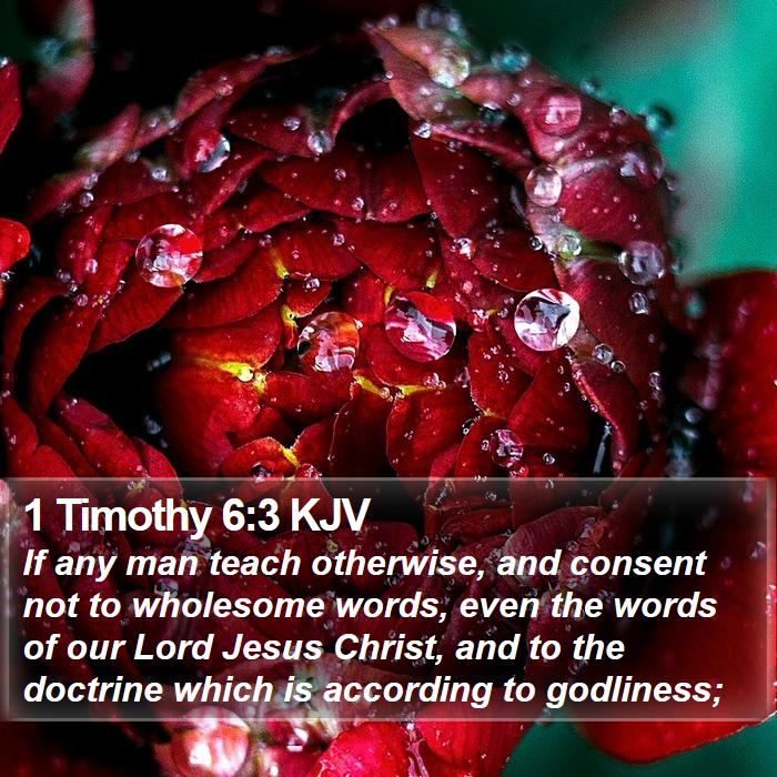 1 Timothy 6:3 KJV Bible Study