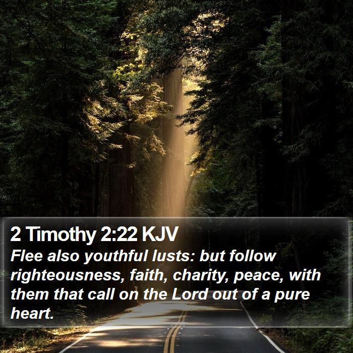 2 Timothy 2:22 KJV Bible Study