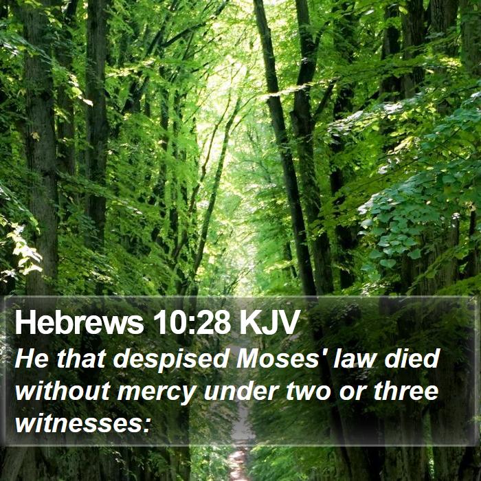 Hebrews 10:28 KJV Bible Study